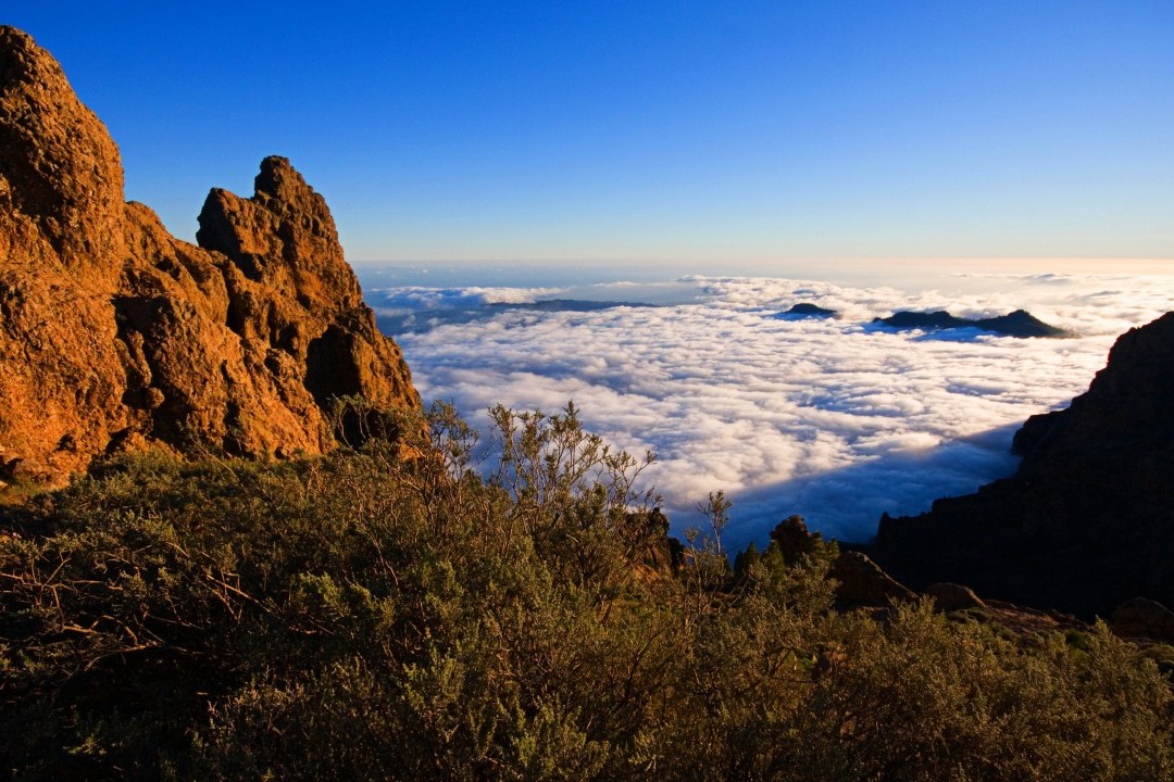 The Best Climate in the World - Aerial View of Puerto de Mogán